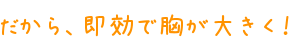 topbanner.gif